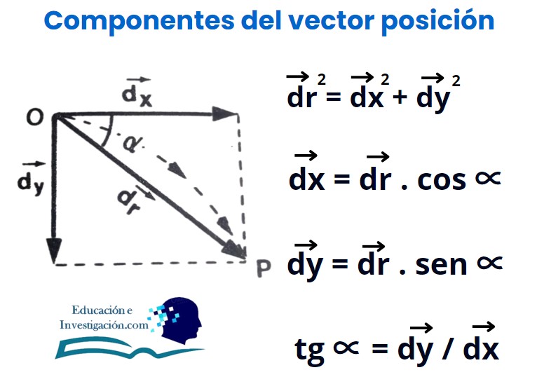 componentes-del-vector-posición-del-lanzamiento-horizontal