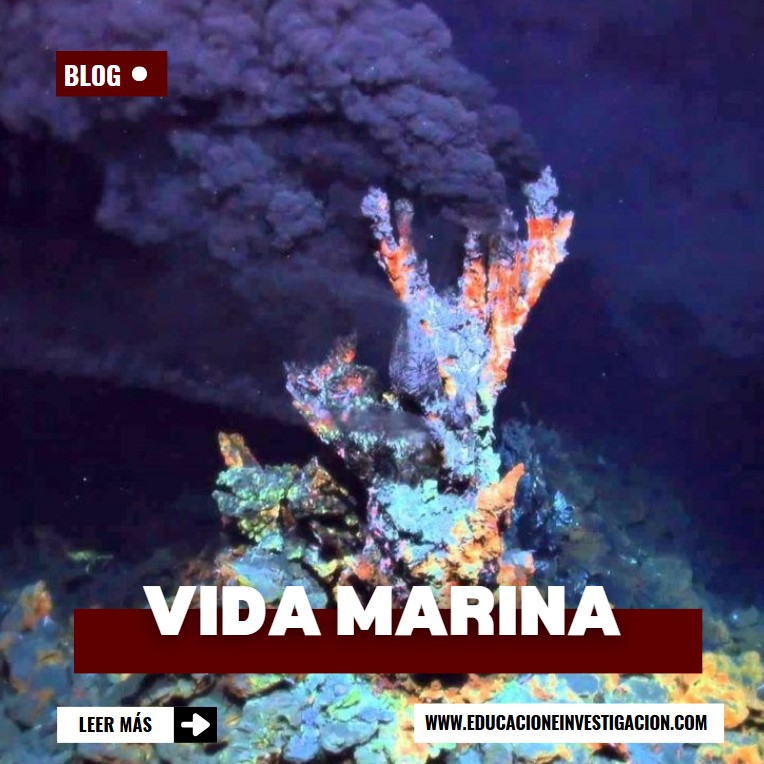 Descubrimientos-científicos-increíbles-vida-marina-en-hidrotermales-fondo-marino